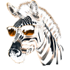 Zebra Sunglasses