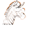 Zebra coole Sonnenbrille