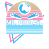 Mr. Flipper Retro