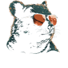 Wombat Cool Sunglasses