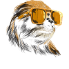 Sloth Sunglasses