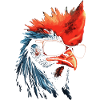 Rooster Sunglasses