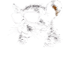 Rat Sunglasses