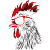 Rooster Chicken Sunglasses