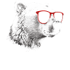 Polar Bear Cool Sunglasses