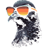 Pigeon Sunglasses