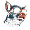 Pig Cool Sunglasses