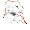 Lunettes de soleil panda