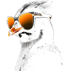 Pinguin Sonnenbrille
