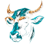 Ox Sunglasses