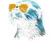 Otter Cool Sunglasses