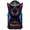 Black Cat and Magic