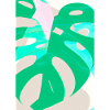 Monstera Pflanze Zusammenfassung