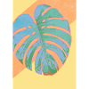 Monstera Pflanze Zusammenfassung