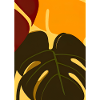Monstera Pflanze Zusammenfassung