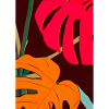 Monstera Pflanze Zusammenfassung