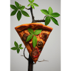 Wachsende Pizza