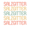 Salzgittererin Salzgitterer Salzgitter