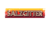 Salzgittererin Salzgitterer Salzgitter