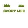 Boy Scout Badge