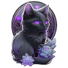 Black cat - Felin kitten