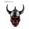 Viking Valhalla