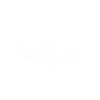 LOGO II Langue