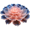3D Flower