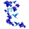 hibiscus, blomster, blomster, blomster, kolibri, blomster