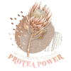 Protea, botanical illustration, saying