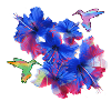 Hibiscus,Flower,Lotus,Blossom,Floral,Hummingbird,Bird