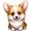 corgi
