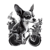 Chihuahua | Vélo | Vélo | Chien | Cyclisme |