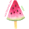 Summer hive, watermelon design