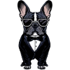 French Bulldog in Tuxedo