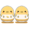 Baby chicks