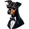 Doberman The Gentlemen