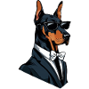 Doberman Wearin Sunglasses