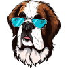 St. Bernard The Gangster