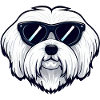 Maltese Dog The Explorer