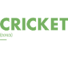 Sport Definition Cricket
