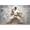 Karaté Fighter Karaté Kämpfer