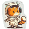 Cosmic Cat