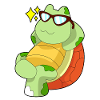 Turtle Sunglasses