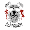 Shnauzer Dog