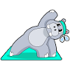 Hippopotamus Yoga Gymnastics