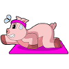 Pig Yoga Gymastics