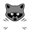 Raccoon funny raccoons
