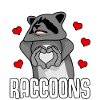 Raccoon with heart Raccoons