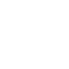 Golden Gassi Hund